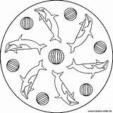 Delfin Mandalas Ausdrucken Malvorlagen Delphin Delfine Vorlagen Delfines Malvorlage Obst Koala Pano Seç sketch template