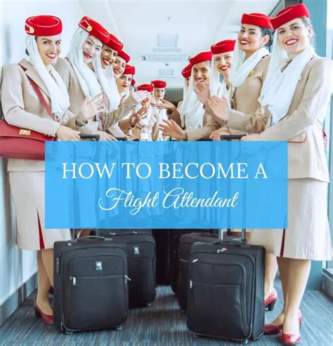 How To Become A Flight Attendant 8 Hiring Process Steps