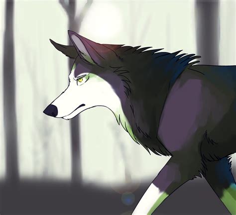 purple wolf  kipinedeviantartcom  atdeviantart anime wolf drawing anime wolf wolf
