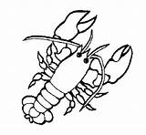 Lobster Coloring Cute Drawing Coloringcrew Book Getdrawings sketch template