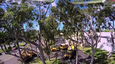 drone view  tree trimmingpruning    youtube