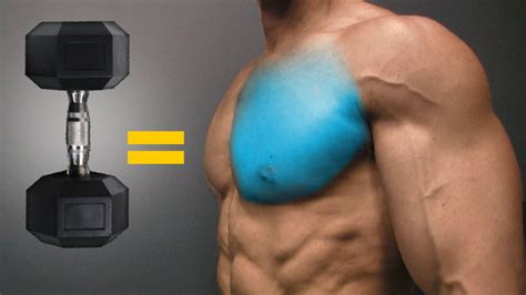 dumbbell exercises  chest dumbbell chest workout