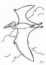 Coloring Pages Flying Dino Pterodactyl sketch template