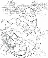 Coloring Snake Rattlesnake Pages Coral Mamba Getdrawings Getcolorings Diamondback Print Colorings sketch template