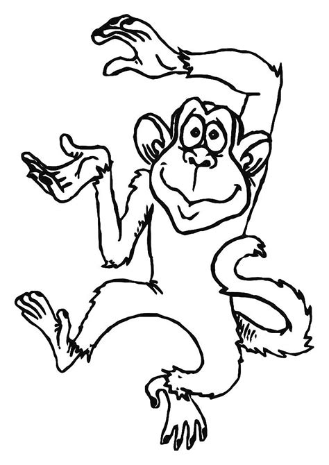 monkey coloring     monkeys kids coloring pages