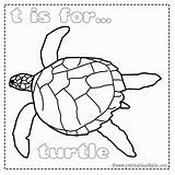 Coloring Sea Turtle Underwater Under Pages Printable Popular Coloringhome sketch template