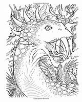 Dragons Color Coloring Books sketch template