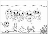 Shark Baby Coloring Pinkfong Kids sketch template