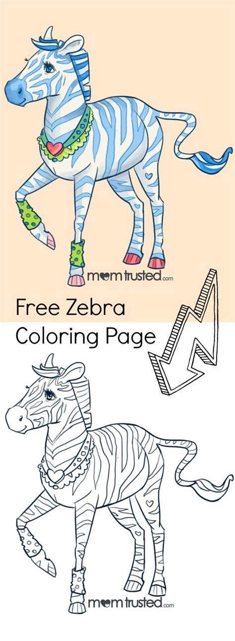 zebra coloring page zebra coloring pages coloring pages