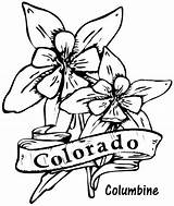 Coloring Columbine Flowers Flower Colorado State Drawing Pages Kids Printable Template sketch template