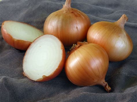 walla walla sweet dry bulb onion   southern exposure seed exchange saving