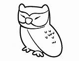 Relaxed Owl Coloring Coloringcrew Colorear sketch template