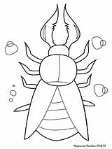 Mewarnai Insects Serangga Insect Diwarnai Titan Warnai Kertas Diatas Selembar Cetak Situs Berukuran sketch template