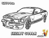 Mustang Shelby Yescoloring Fierce Gt500 Brawny Stencil sketch template