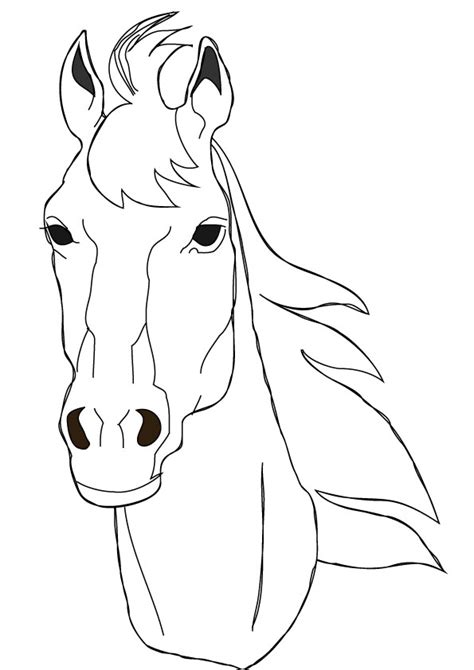 halter  horse head coloring page coloring pages