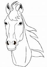 Horse Coloring Face Drawing Pages Horses Head Color Print Benscoloringpages Drawings Printable Heads Draw Faces Animals Colouring Coloringpages Simple Forward sketch template