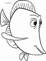Finding Nemo Wecoloringpage sketch template