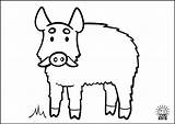Kids Coloring Animals Pages Navigation Post Boar sketch template