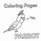 Parrot Coloring Cartoon Book Illustration Vector Children Pages Stock Preview sketch template
