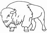 Bison Coloring Pages sketch template