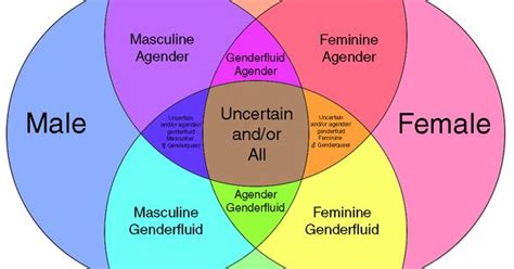 castielshappyplace a gender spectrum diagram i made visualizing gender identity binaries