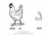 Arabic Daal Tracing Alphabet sketch template