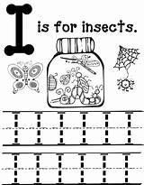 Preschool Insect Coloring Packets sketch template