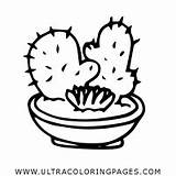 Ausmalbilder Kaktus sketch template