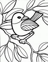 Coloring Pages Printable Kids Print Bird sketch template