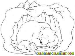 image result  animals  hibernate colouring pages animal