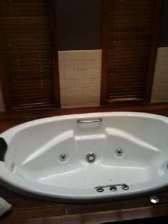 gorgeous person shower picture  cherry tree cottage daylesford