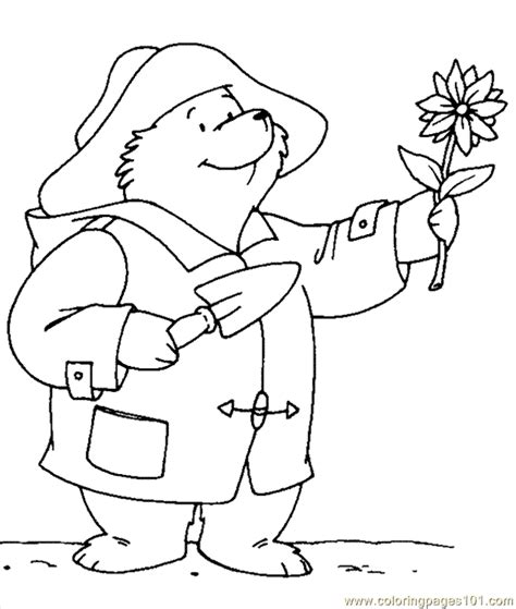 paddington bear coloring pages bear coloring pages coloring pages
