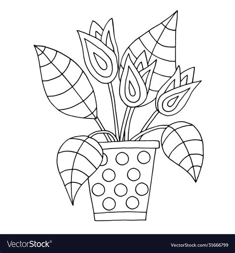 hand drawn flower pot coloring page royalty  vector