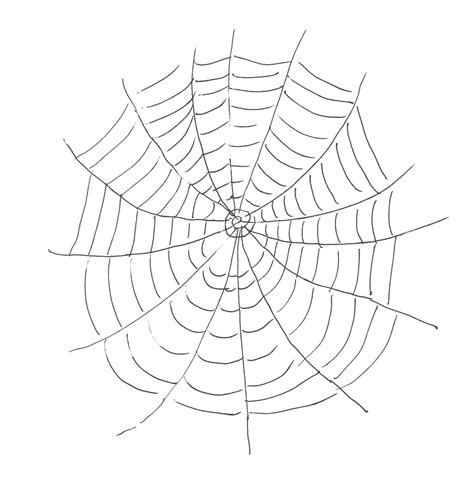 printable spider web coloring pages  kids