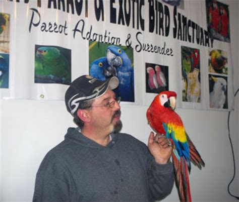 man reunited with bird he lost in a divorce