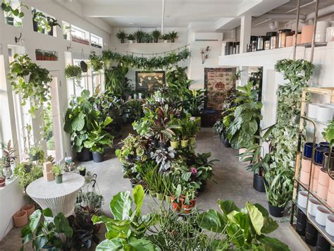 awesome plant stores     interior design game gq