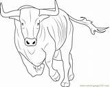 Coloring Taurus Bos Pages Bull Coloringpages101 25kb 636px sketch template