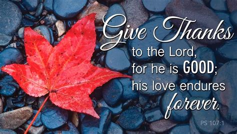 great thanksgiving bible verses  gratitude  giving