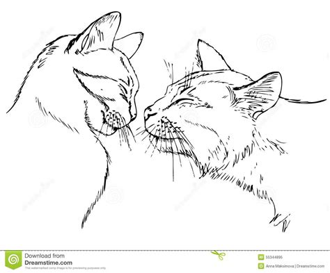 couple  love cats stock vector illustration  mammal
