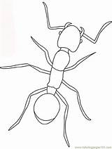 Ant Fourmi Ants Coloriage Hormigas Formica Insectos Colorare Cigale Disegno Robaki Insect Kolorowanki Fourmis Owady Colorier Insekten Mier Enfant Sheets sketch template