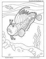 Coloring Pages Seashore Kids Fish Ocean Book Sea Animal Books Life Adult Getcolorings Color Two Colouring Printable Getdrawings Animals Underwater sketch template
