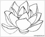 Lotus Mandala Flower Pages Coloring Color Print Online sketch template