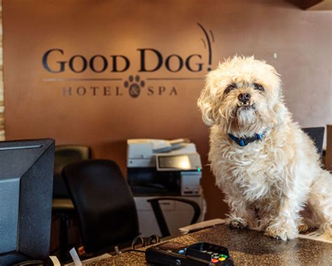 happy dog hotel  spa added happy dog hotel  spa peacecommission