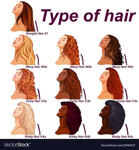 types  curly hair chart home interior design