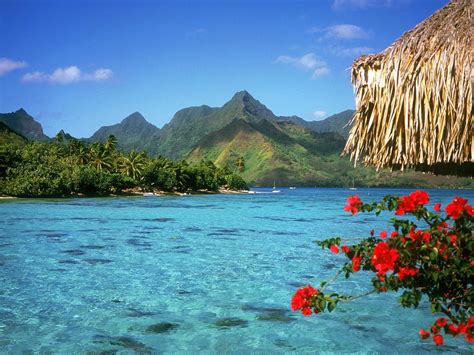 beautiful  beautiful islands