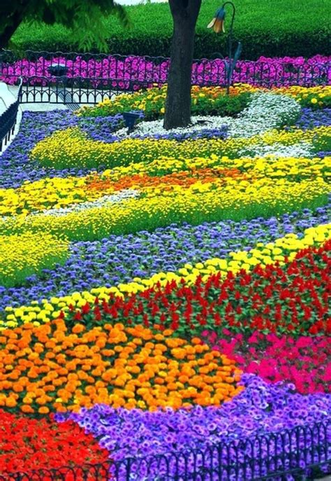 colorful gardens beautiful flowers beautiful gardens flower garden