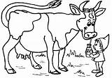 Cow Coloring Printable Pages Kids Popular sketch template