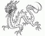 Coloring Dragon Pages Adults Realistic Chinese Library Clipart sketch template