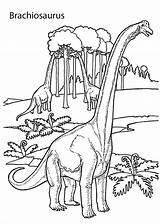 Brachiosaurus Dinosaurs Colorare Ausmalbilder Dinosauri Brontosauro Dinosaurier Sheets Malvorlagen Dinosaurus Coloringbay Kolorowanka sketch template