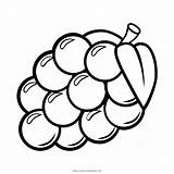 Grapes Uvas Uva Vineyard Template Pinclipart Clipartmag Ultracoloringpages Vine sketch template